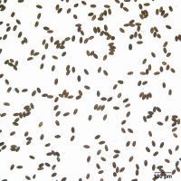 ShapeControl Übersicht